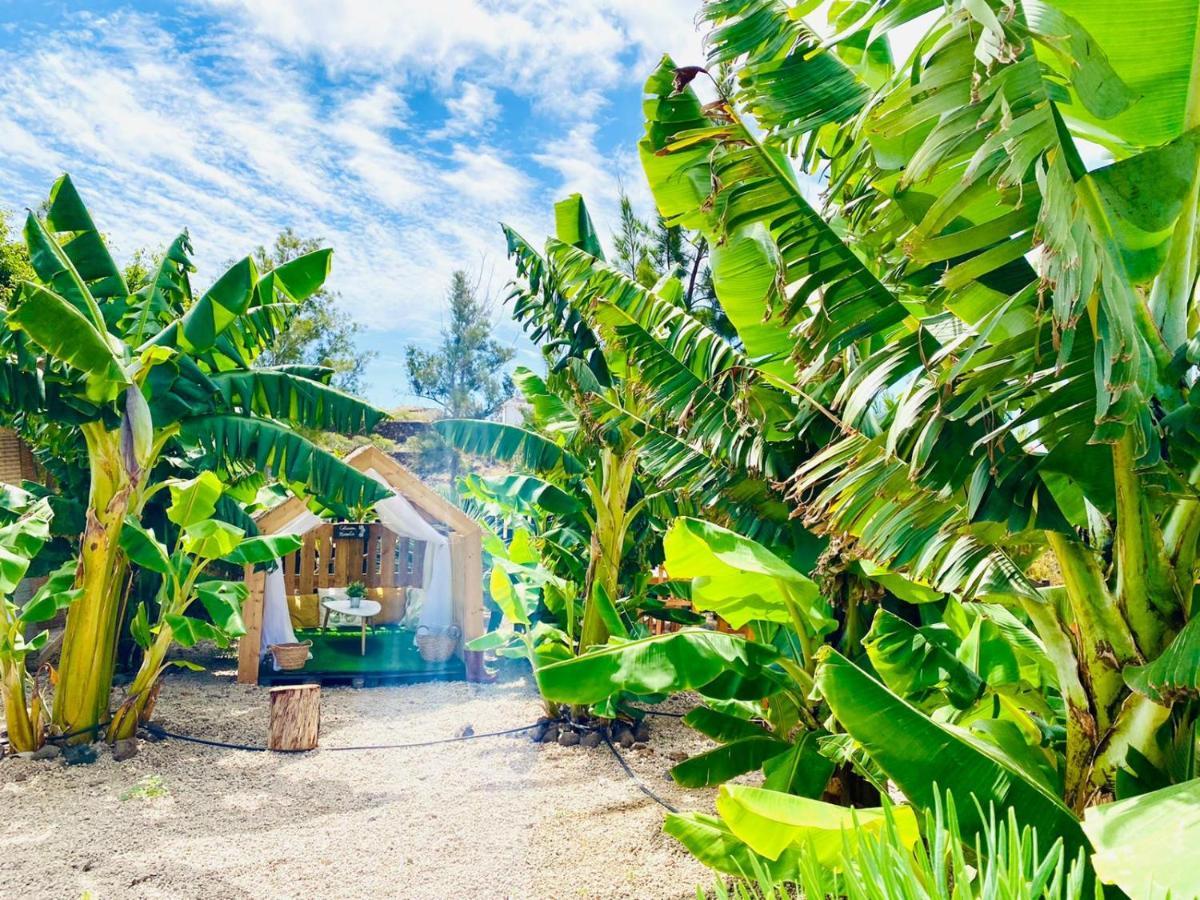 Arrebol Suite Con Jacuzzi, Piscina Y Naturaleza Buzanada Esterno foto