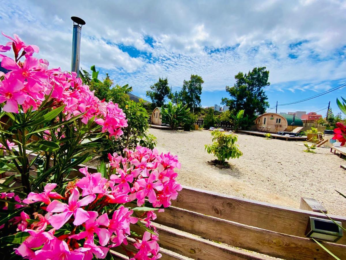 Arrebol Suite Con Jacuzzi, Piscina Y Naturaleza Buzanada Esterno foto